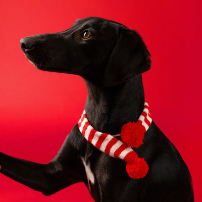 Christmas Dog Scarf Dress Up