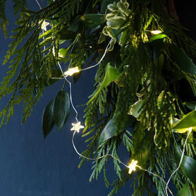 Gilded Star String Lights - 3m