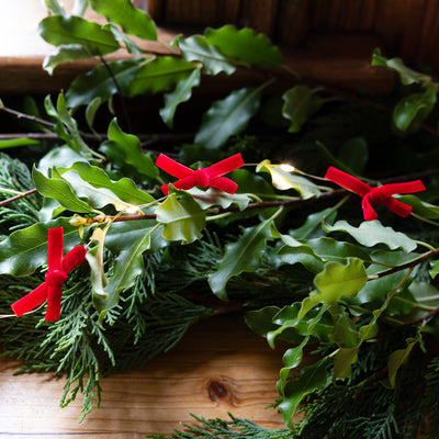 Red Bow String Lights - 2m
