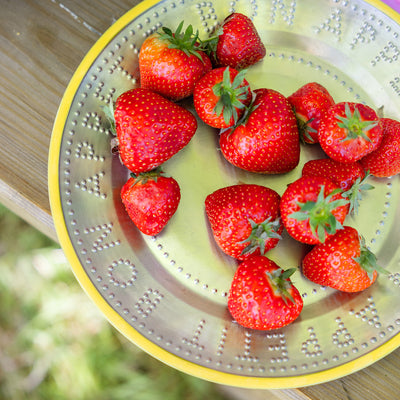 Yellow Stainless Steel Reusable Plate - 25cm