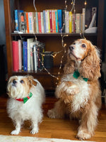 Sequinned Christmas Dog Bow Tie