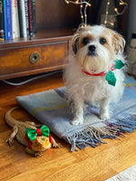 Sequinned Christmas Dog Bow Tie