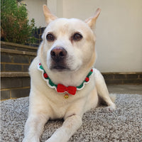 Christmas Crochet Dog Collar