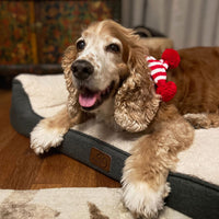 Christmas Dog Scarf Dress Up