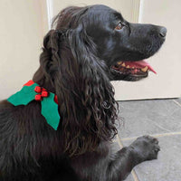 Christmas Holly Dog Dress Up