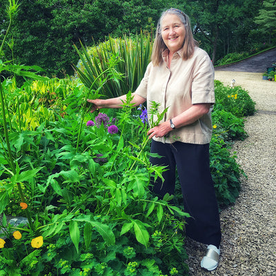 Celebrating British flowers