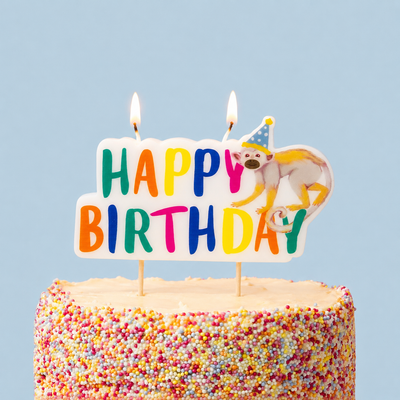 Party Safari Monkey Happy Birthday Candle