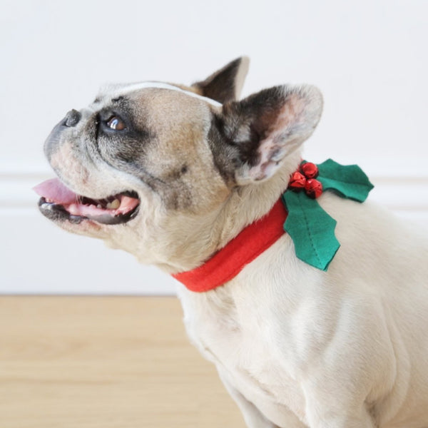 Christmas Holly Dog Dress Up