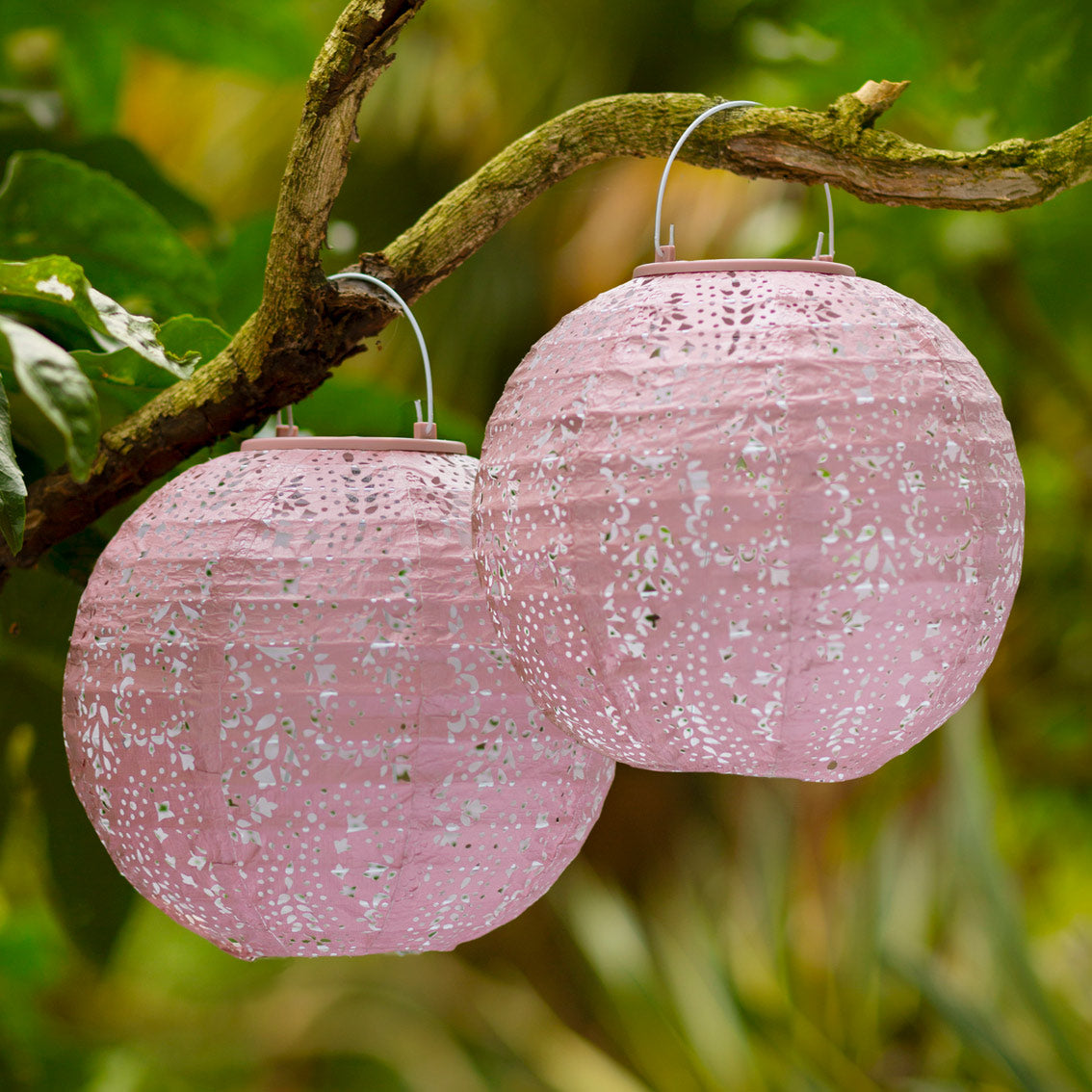 Boho Pink Outdoor Solar Lanterns Talking Tables UK