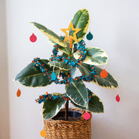 Pot Plant Christmas Decorations Set