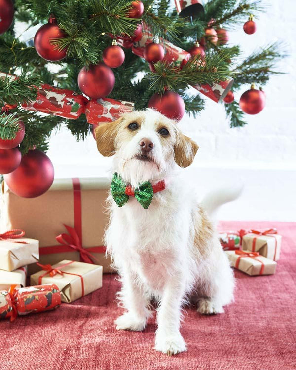 Sequinned Christmas Dog Bow Tie