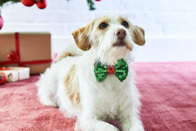 Sequinned Christmas Dog Bow Tie